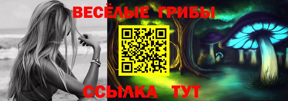 Псилоцибиновые грибы Magic Shrooms  Вход с VPN  Скопин 