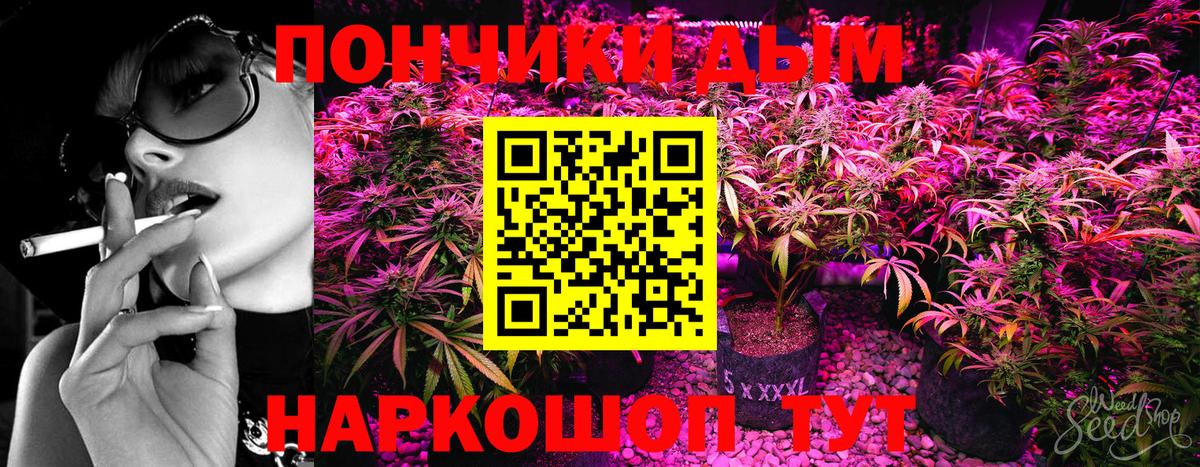 Бошки Шишки план  Вход с VPN  Марихуана конопля  МАРИХУАНА AK-47  Бошки Шишки план  Скопин 